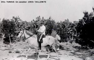 051- Tunisie- Un cavalier- 1903- Taillemitte